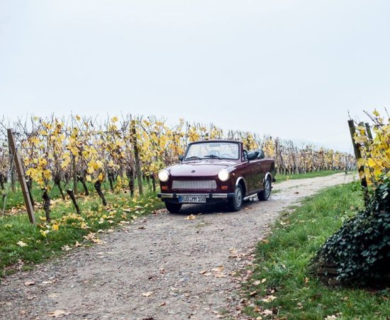 Motorrad Club Rheingau strandperle rheingau geisenheim clubs und discotheken Motorrad Club Rheingau strandperle rheingau geisenheim clubs und discotheken